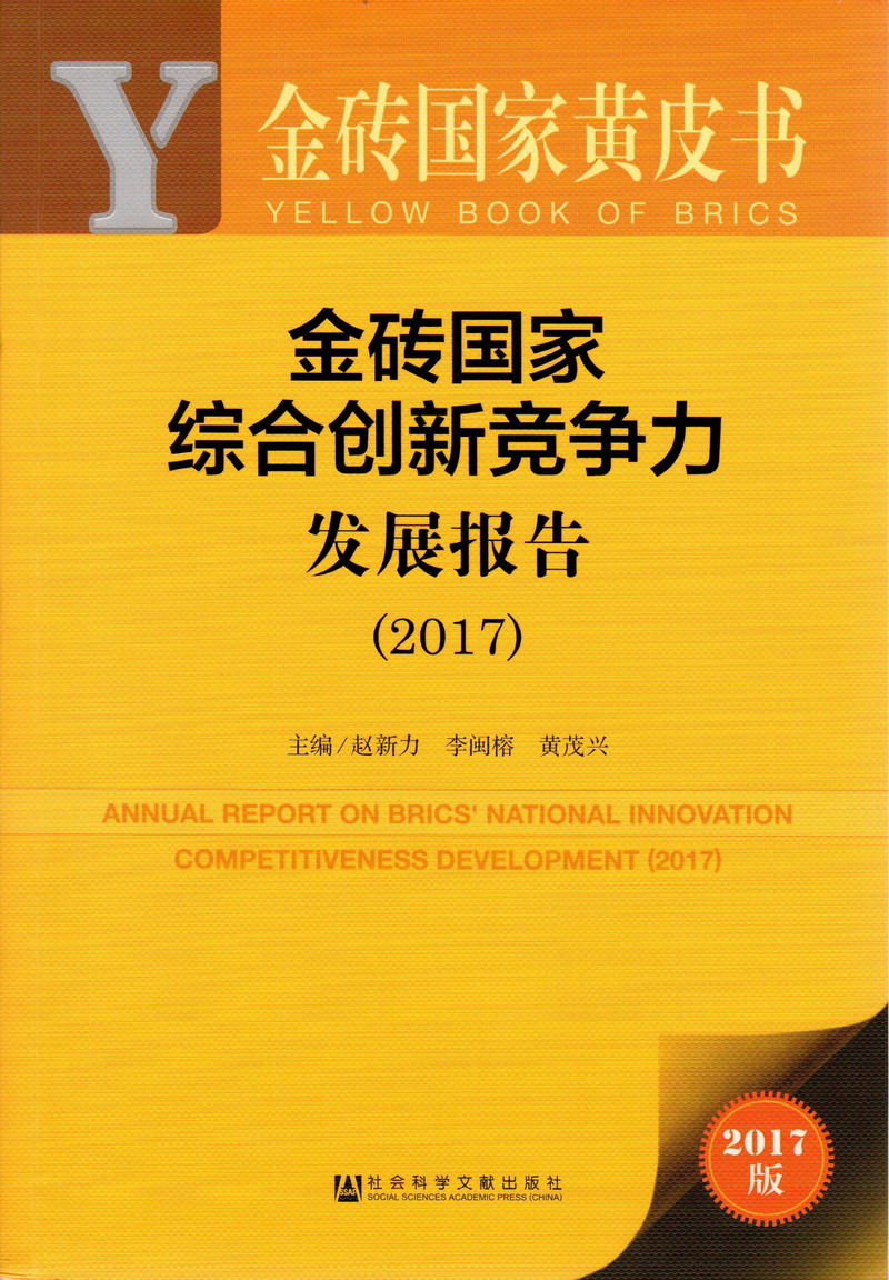 逼逼被插视频金砖国家综合创新竞争力发展报告（2017）